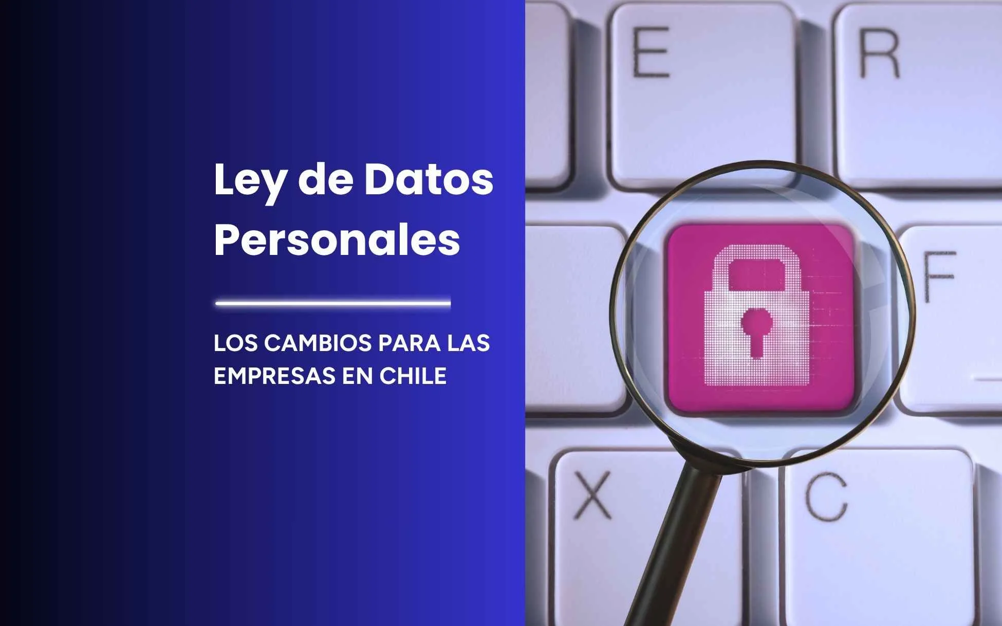 Agencia de Protección de Datos Personales | mes de la ciberseguridad, hostinglatam.cl